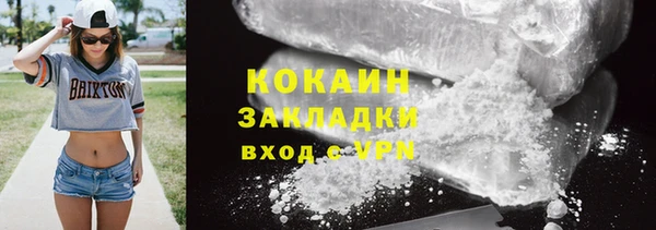 гидра Вяземский