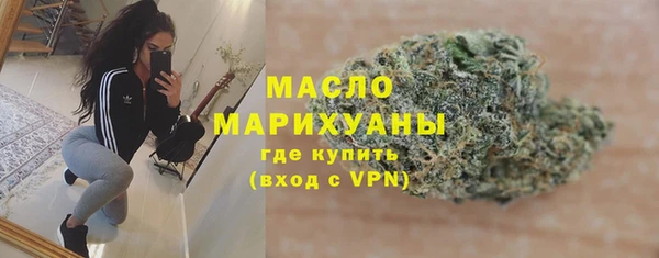 гидра Вяземский