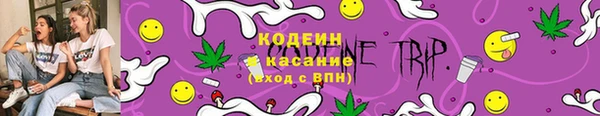 дживик Вязьма