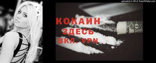 дживик Вязьма