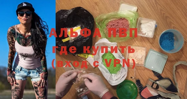 гидра Вяземский
