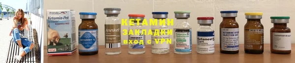 гидра Вяземский