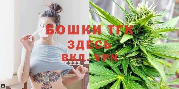 дживик Вязьма