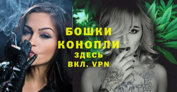 мдпв Вязники