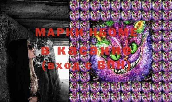 гидра Вяземский