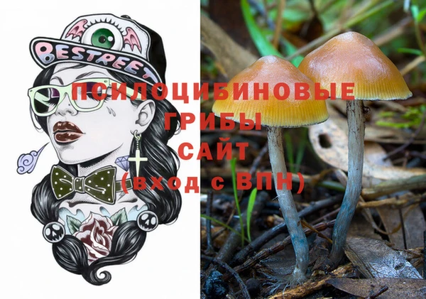 гидра Вяземский