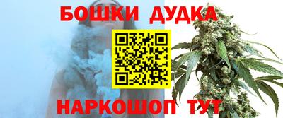СК Гагарин