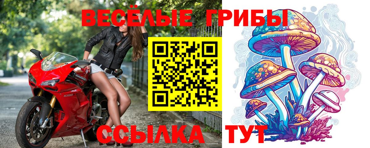 Псилоцибиновые грибы Psilocybe  Вход с VPN  Железноводск 