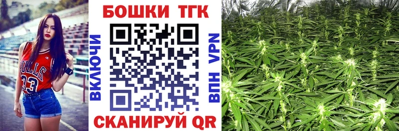 Шишки марихуана планчик  Железноводск 
